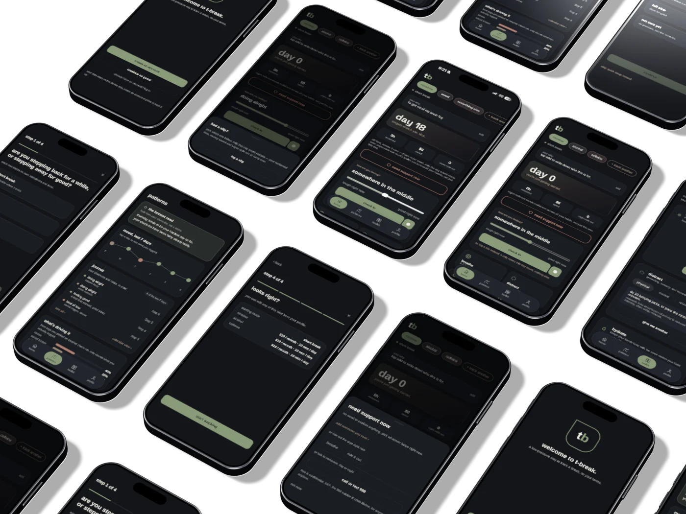 A flat-lay of real T-Break app screens on iPhones: the day 18 home dashboard, mode choice, toolkit, patterns, and the check-in